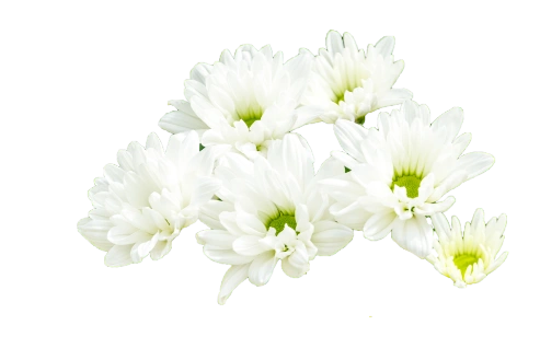 生花