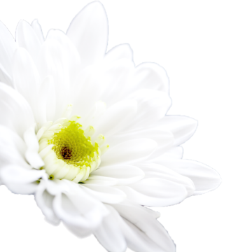 生花